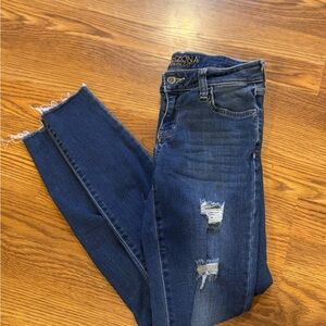 Arizona Jean Company Women's Blue Distressed Jeans